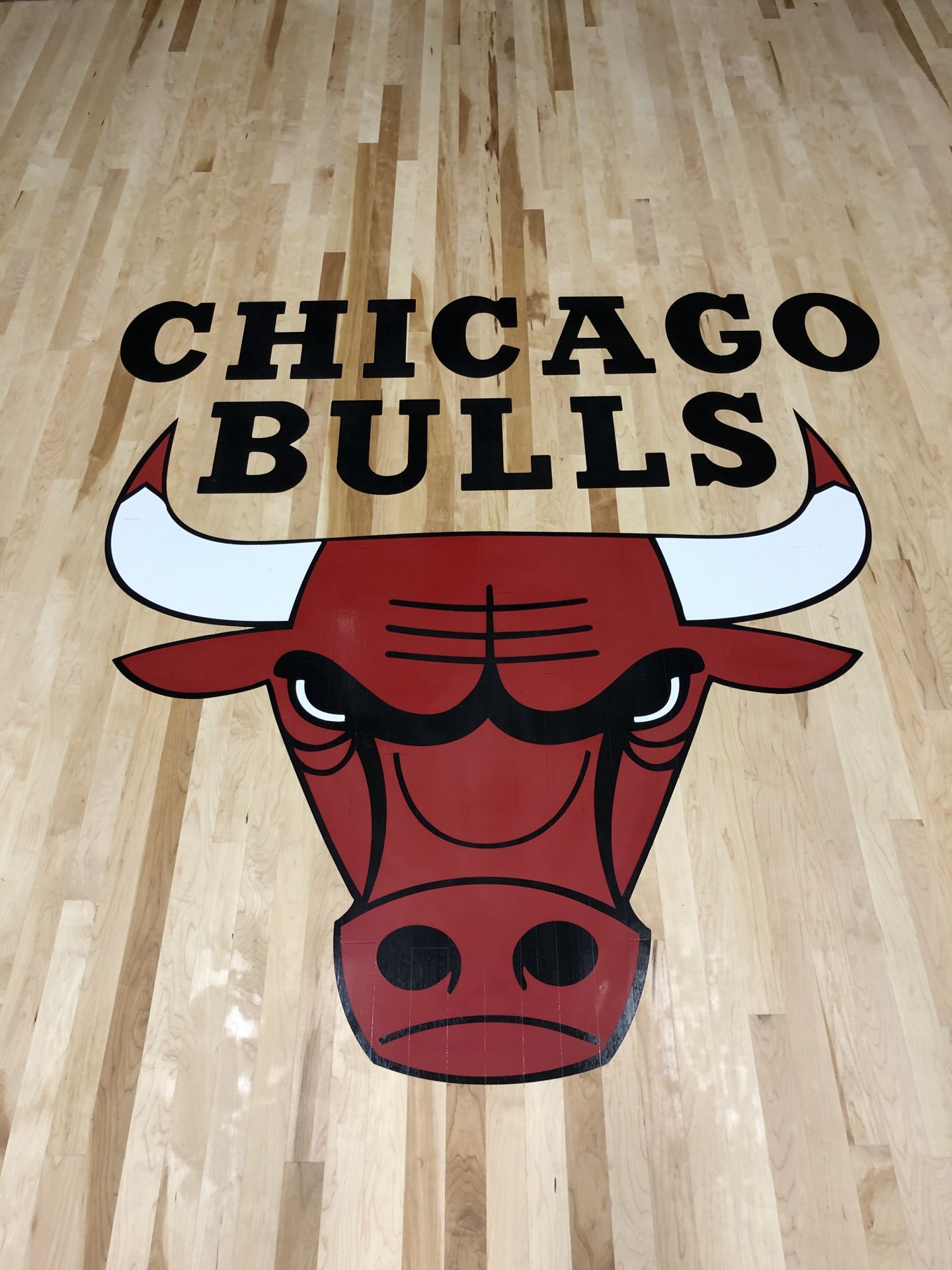 Basketball court with The Chicago Bulls Logo - Chicago, FLOORecki LLC